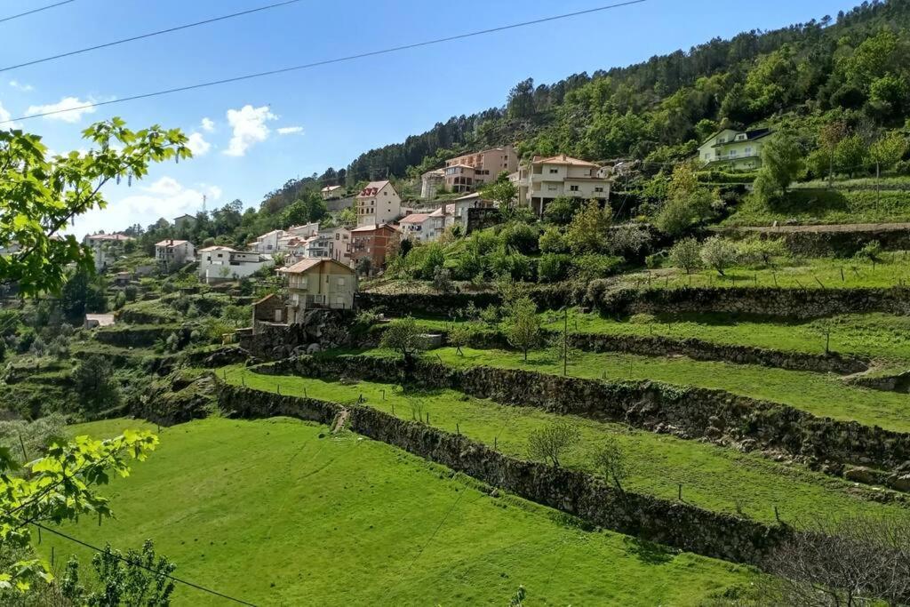 Casa Do Pelourinho - T1 Villa Loriga Dış mekan fotoğraf